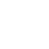 Icône - expertise de plus de 50 ans