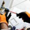 Électricien qui remplace une prise lors de travaux de mise en conformité électrique